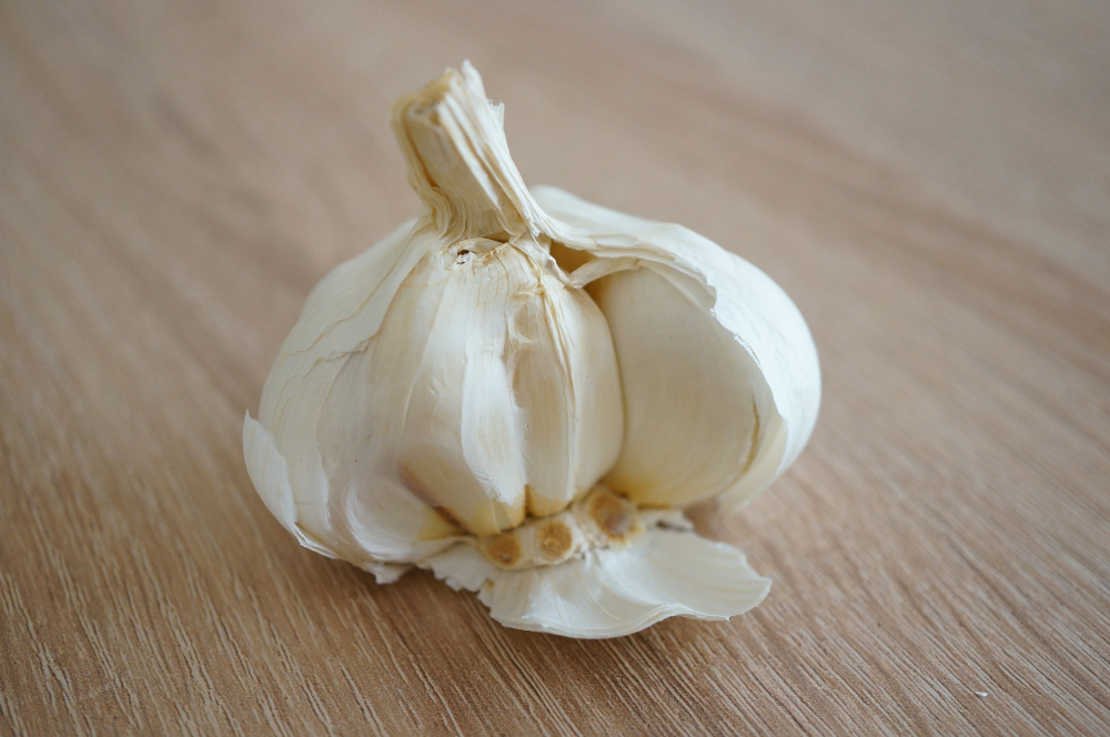 Garlic